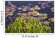 Lily Pads In A Lake Near Dunmanus Bay Wall Mural