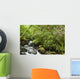 Water Flowing Down A River Surrounded By Lush Trees Wall Mural