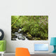 Water Flowing Down A River Surrounded By Lush Trees Wall Mural