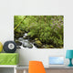 Water Flowing Down A River Surrounded By Lush Trees Wall Mural