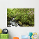 Water Flowing Down A River Surrounded By Lush Trees Wall Mural