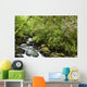 Water Flowing Down A River Surrounded By Lush Trees Wall Mural