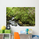 Water Flowing Down A River Surrounded By Lush Trees Wall Mural