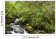 Water Flowing Down A River Surrounded By Lush Trees Wall Mural