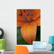 Close-Up Of Orange Lily Flower After Rain Wall Mural