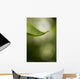 Close-Up Of White Lilac Leaf Wall Mural