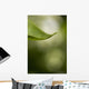 Close-Up Of White Lilac Leaf Wall Mural