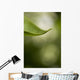 Close-Up Of White Lilac Leaf Wall Mural