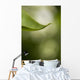 Close-Up Of White Lilac Leaf Wall Mural