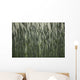Long Grass In Farm Field Wall Mural