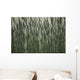 Long Grass In Farm Field Wall Mural