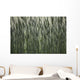 Long Grass In Farm Field Wall Mural