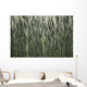 Long Grass In Farm Field Wall Mural