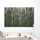 Long Grass In Farm Field Wall Mural