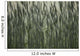 Long Grass In Farm Field Wall Mural