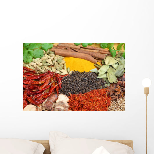 Indian Spices Wall Mural