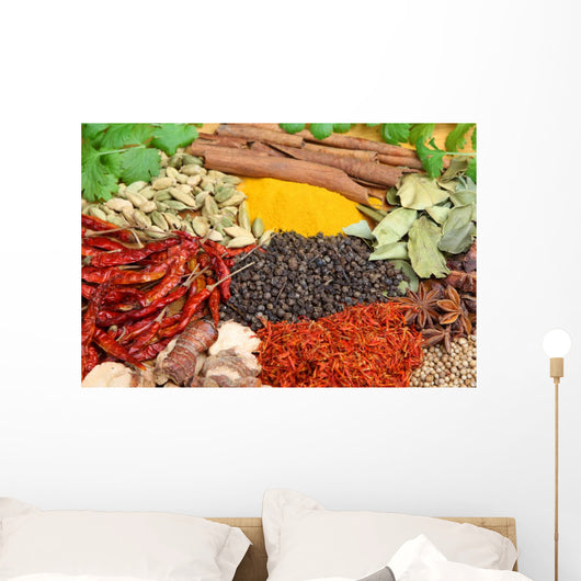 Indian Spices Wall Mural