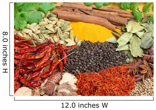 Indian Spices Wall Mural