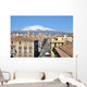 catania - view Wall Mural