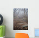 spooky forest Wall Mural