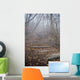 spooky forest Wall Mural