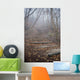 spooky forest Wall Mural