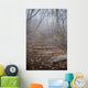 spooky forest Wall Mural