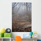 spooky forest Wall Mural