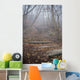 spooky forest Wall Mural