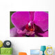 Orchid