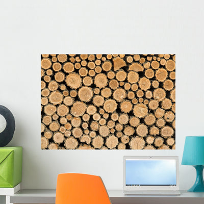 Wood Markings shown on a wall