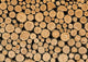 Wood Markings