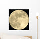 Full Moon Realistic Vector