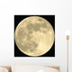 Full Moon Realistic Vector