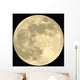 Full Moon Realistic Vector