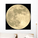 Full Moon Realistic Vector