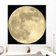 Full Moon Realistic Vector