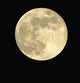 Full Moon Realistic Vector