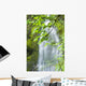 Marymere Falls, Olympic National Park Wall Mural