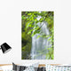 Marymere Falls, Olympic National Park Wall Mural
