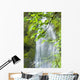 Marymere Falls, Olympic National Park Wall Mural