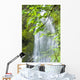 Marymere Falls, Olympic National Park Wall Mural