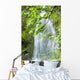 Marymere Falls, Olympic National Park Wall Mural