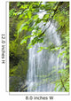 Marymere Falls, Olympic National Park Wall Mural