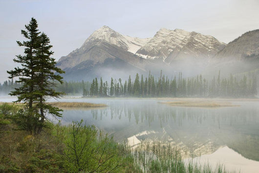 Whitegoat Lake And Mount Elliot, Kootenay Plains, Alberta, Canada Wall Mural