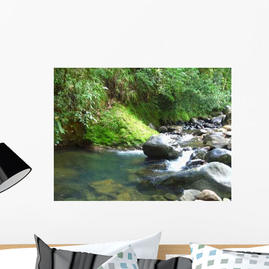 River Wall Decal Design 3