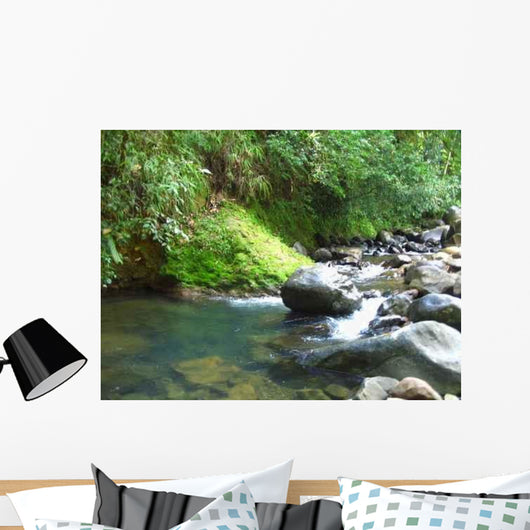 River Wall Decal Design 3