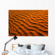 Desert-Like Conditions Wall Mural