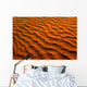 Desert-Like Conditions Wall Mural