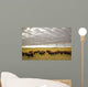 Bison Grazing, Saskatchewan, Canada Wall Mural